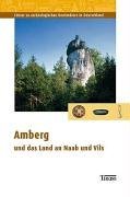Amberg und das Land an Naab und Vils (Ausflüge zu Archäologie, Geschichte und Kultur in Deutschland: ehemals Führer zu archäologischen Denkmälern in Deutschland) Natural Sciences