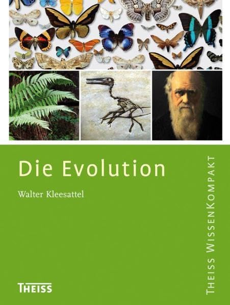 Die Evolution Business & Technology