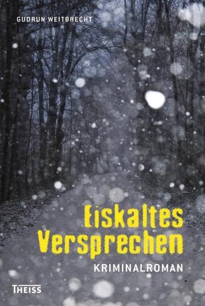 Eiskaltes Versprechen Contemporary literature Books
