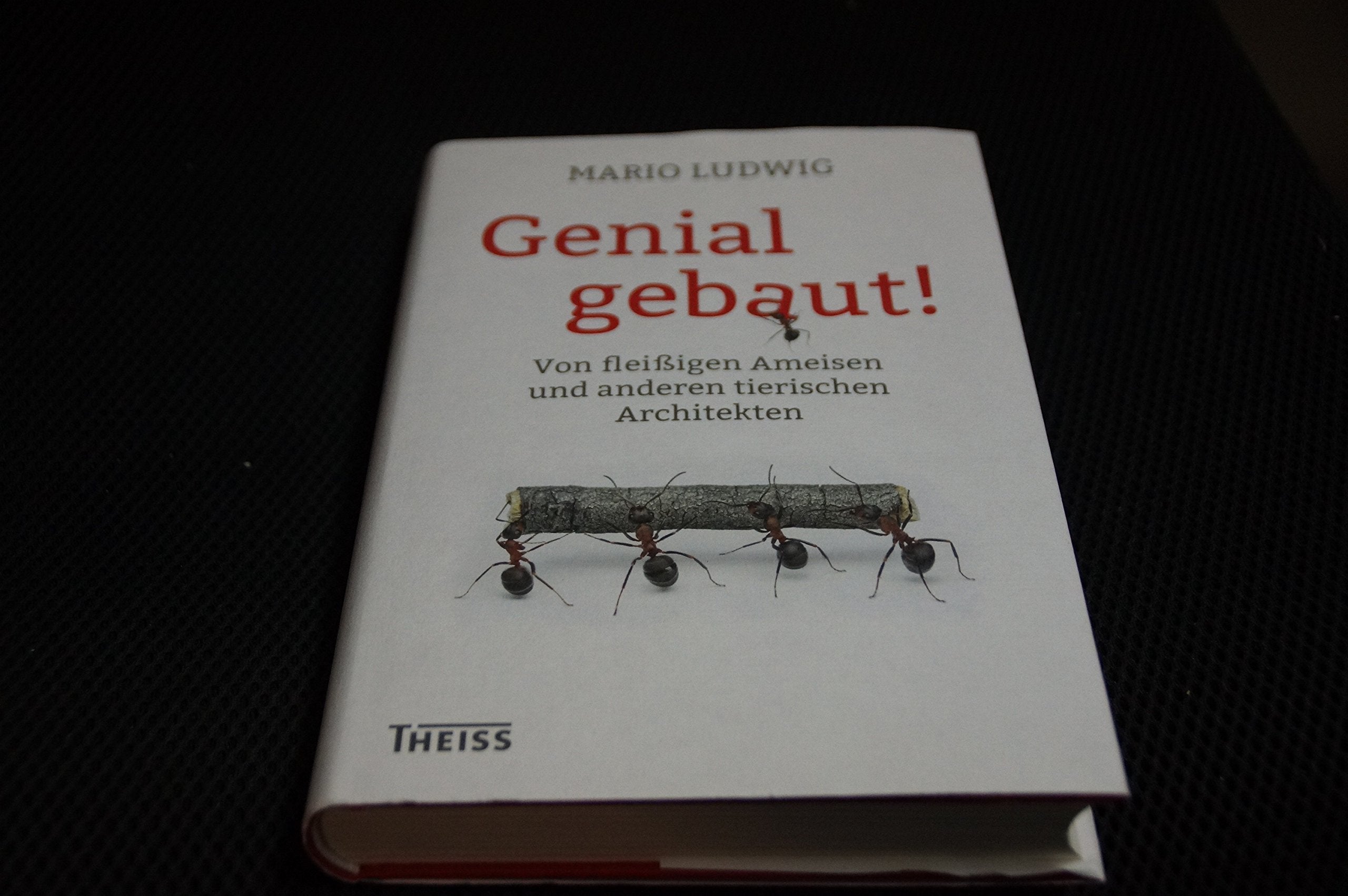 Product Image: Genial gebaut!