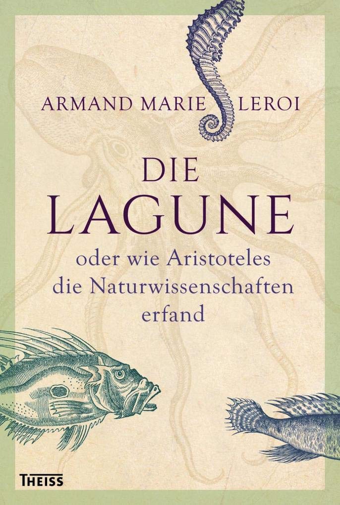Product Image: Die Lagune