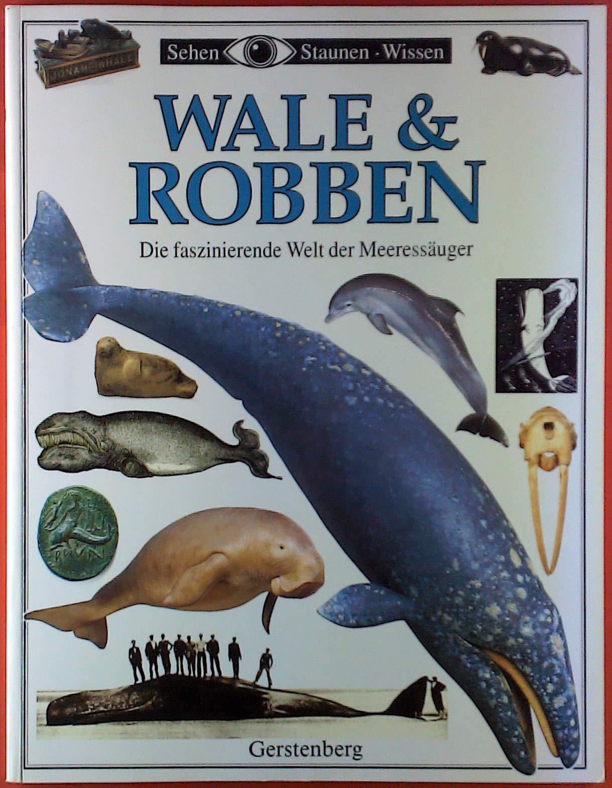 Sehen, Staunen, Wissen: Wale und Robben. Sonderausgabe. Die faszinierende Welt der Meeressäuger Books