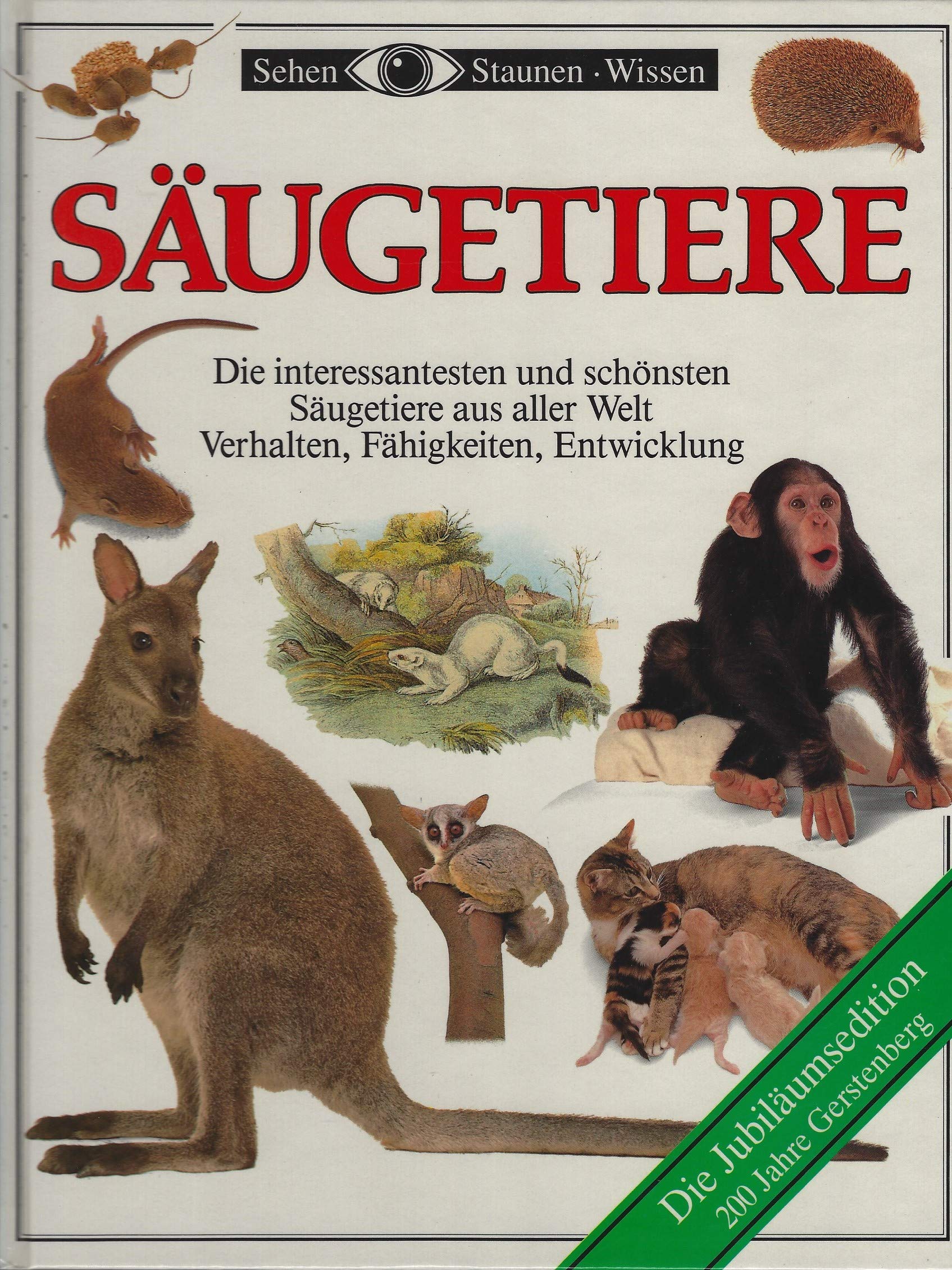 Säugetiere. Die interessantesten und schönsten Säugetiere aus aller Welt. Verhalten, Fähigkeiten, Entwicklung Film, Art & Culture