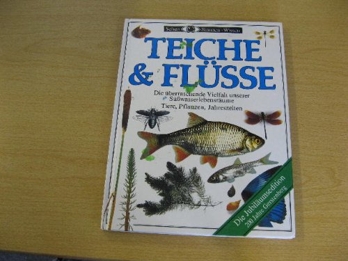 Teiche & Flüsse. Die überraschende Vielfalt unserer Süsswasserlebensräume. Tiere, Pflanzen, Jahreszeiten Film, Art & Culture
