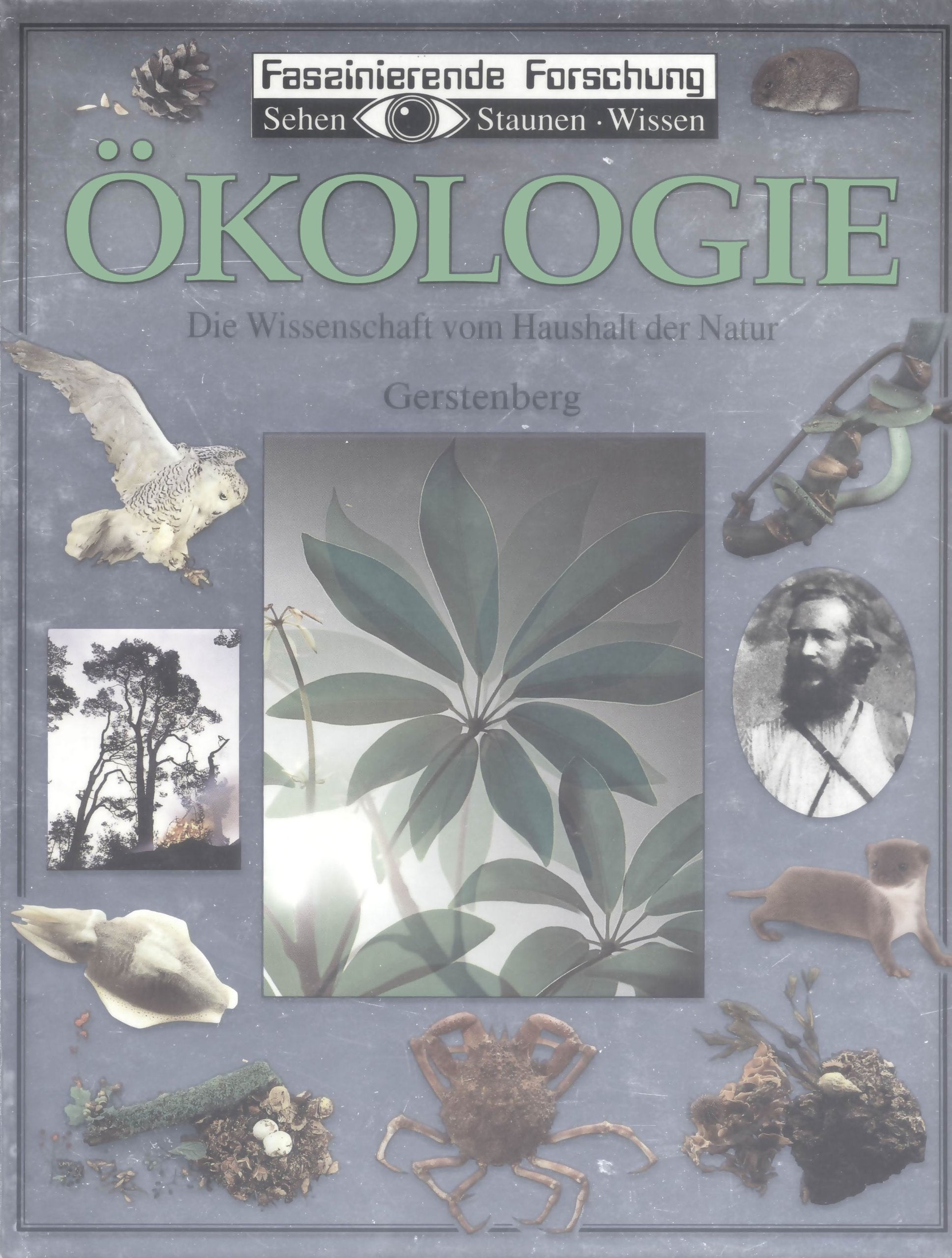 Ökologie. Die Lehre vom Haushalt der Natur Natural Sciences