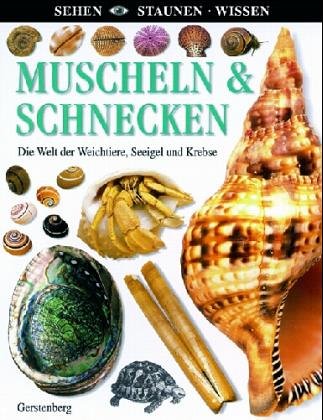 Muscheln & Schnecken Children's books