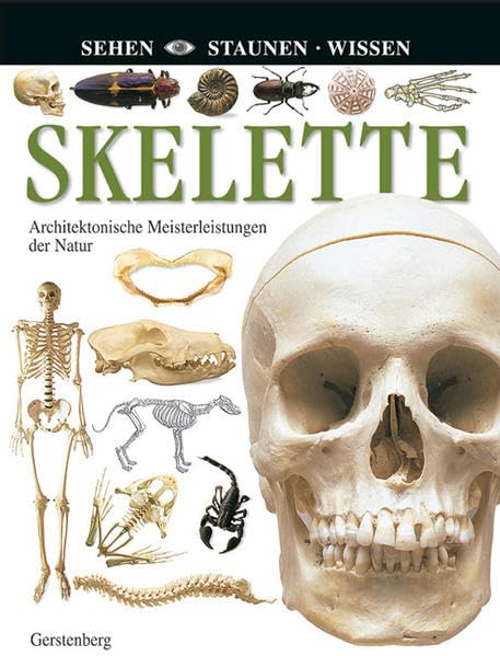 Skelette (Sehen - Staunen - Wissen) Non-fiction