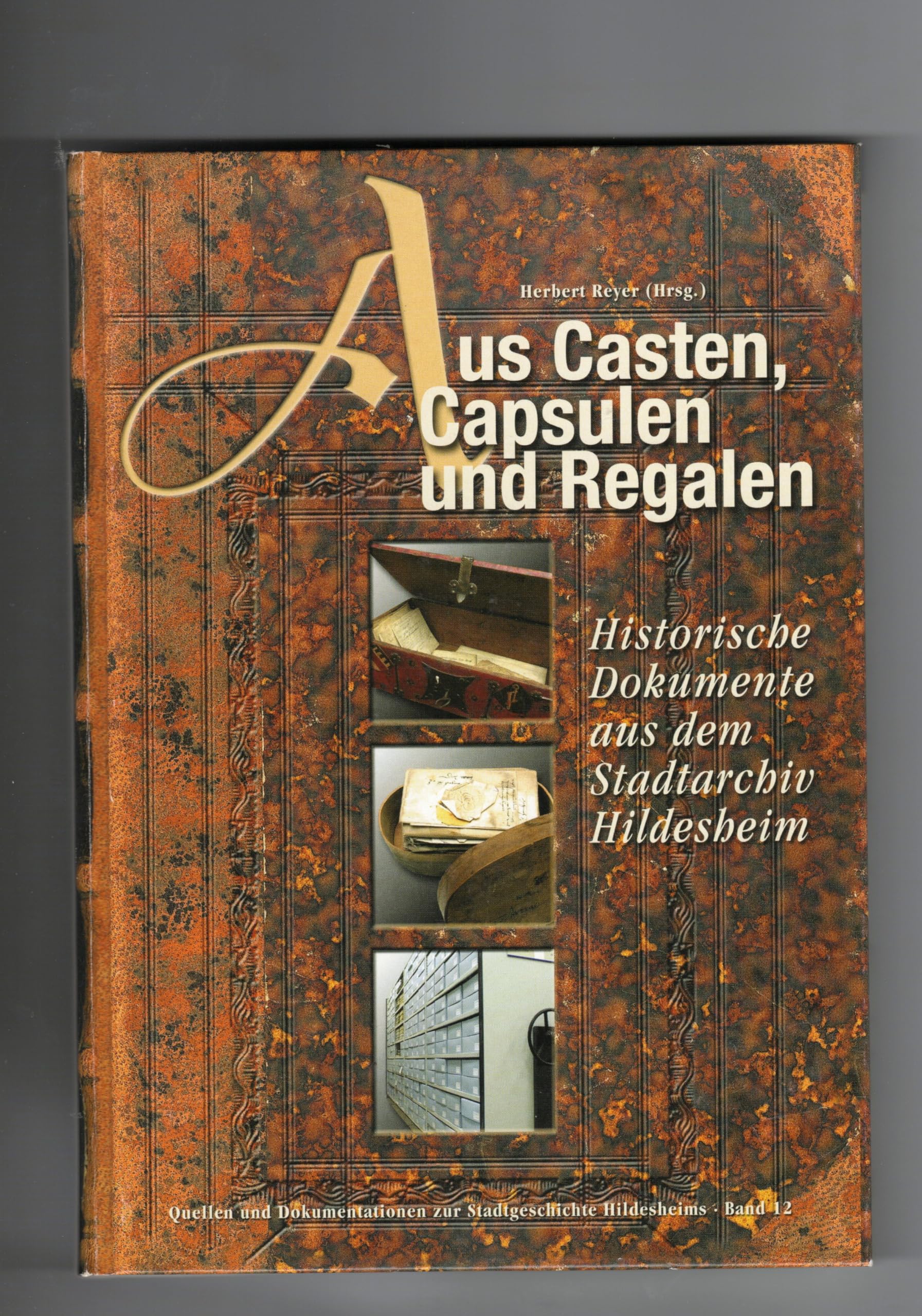 Aus Casten, Capsulen und Regalen: Historische Dokumente aus dem Stadtarchiv Hildesheim Books