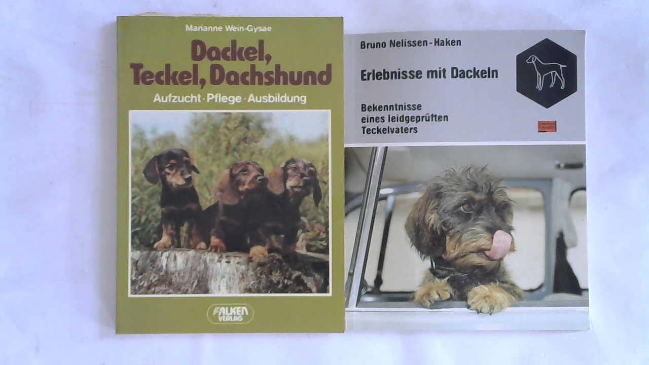Dackel, Teckel, Dachshund. (6210 449). Aufzucht, Pflege, Ausbildung. Business, Finance & Career