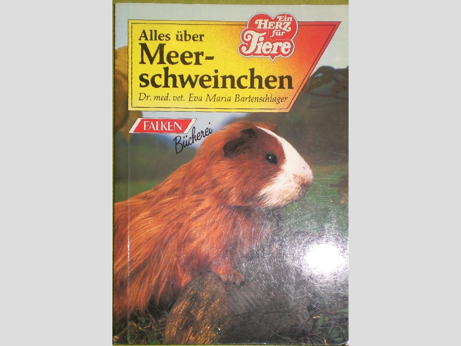 Alles über Meerschweinchen. Pets
