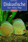 Diskusfische Travel