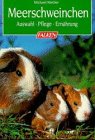Meerschweinchen. Auswahl, Pflege, Ernährung. Pets