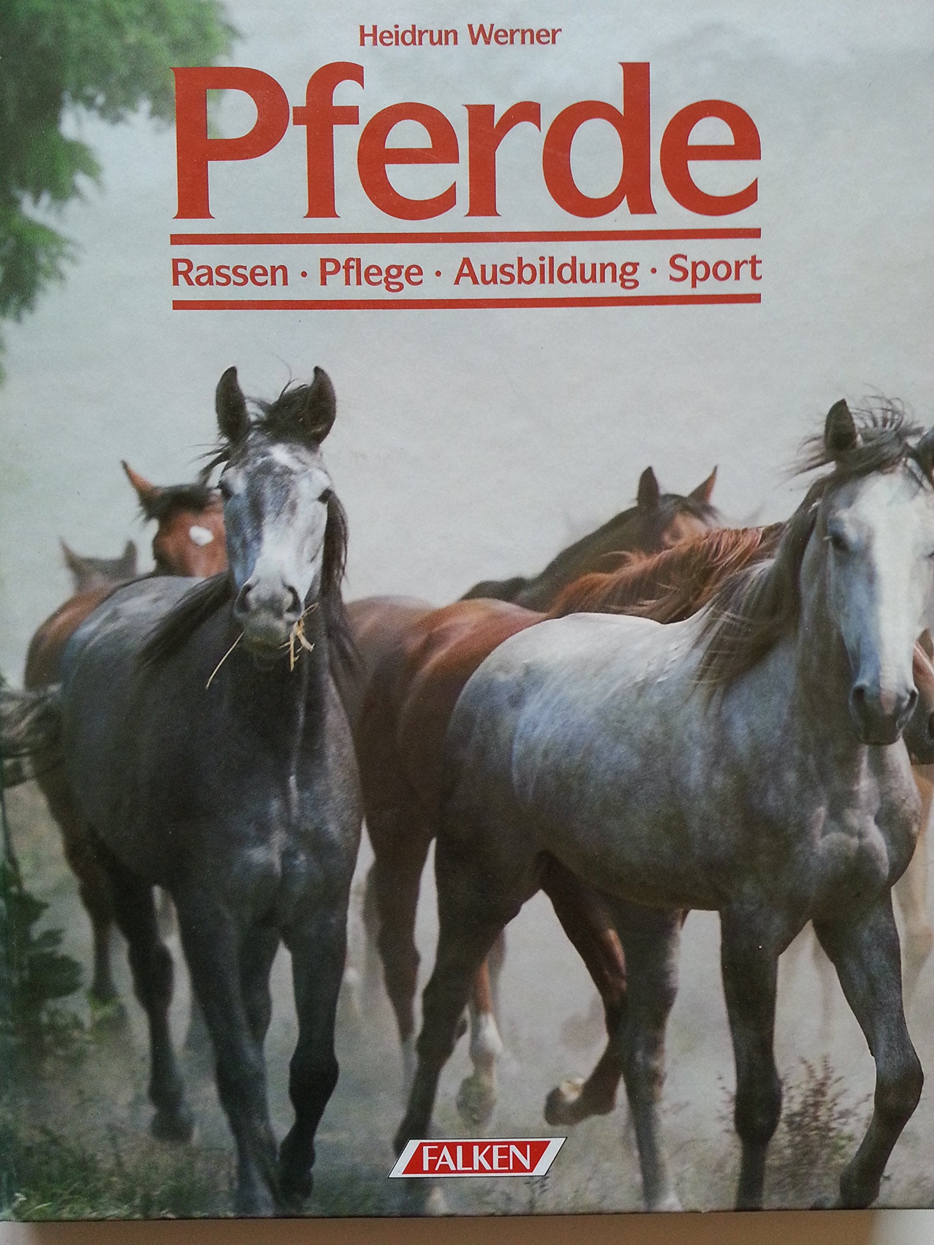 Pferde. Rassen. Pflege. Ausbildung. Sport. Film, Art & Culture