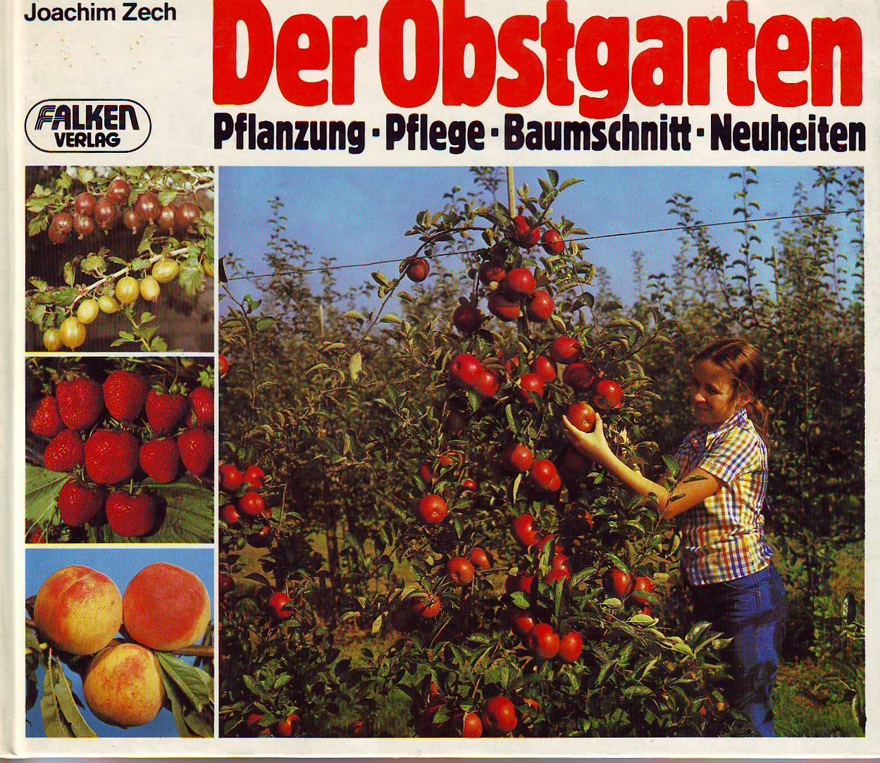 Der Obstgarten. Pflanzung, Pflege, Baumschnitt, Neuheiten. Garden & Plants