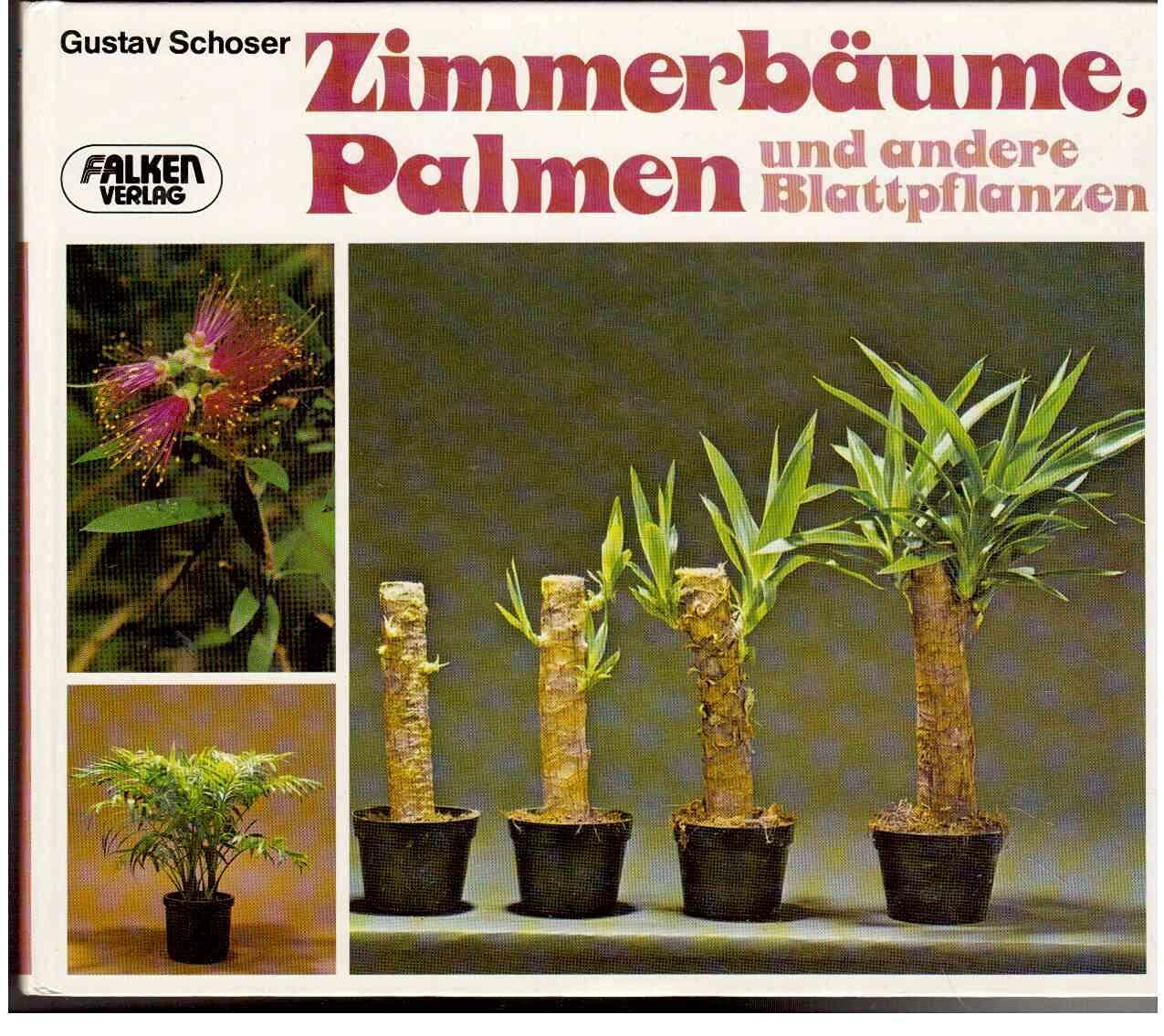Zimmerbäume, Palmen und andere Blattpflanzen. Learning & Reference