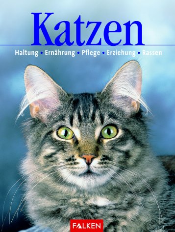 Katzen Pets