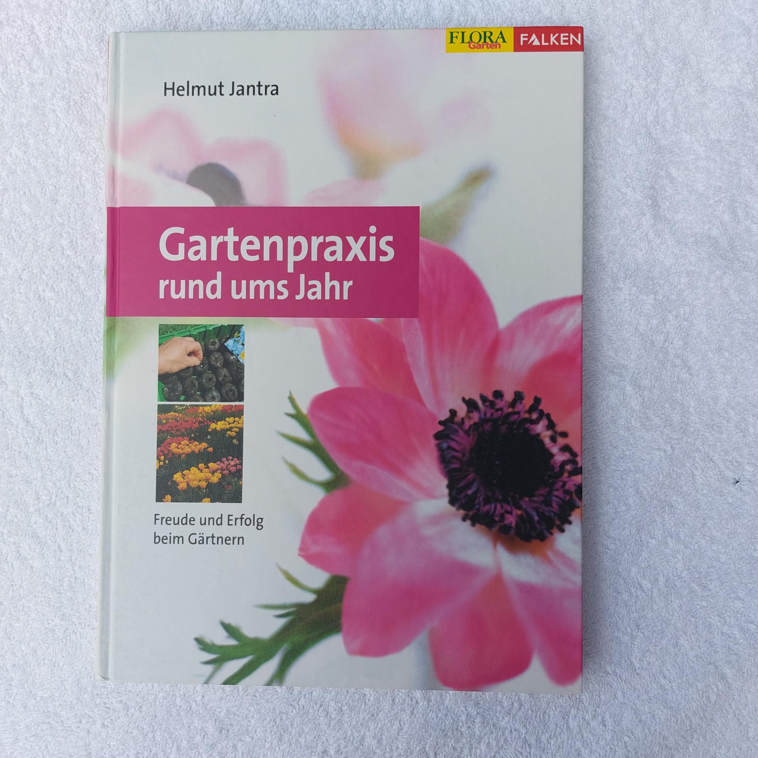 Gartenpraxis rund ums Jahr. Freude und Erfolg beim Gärtnern Garden & Plants