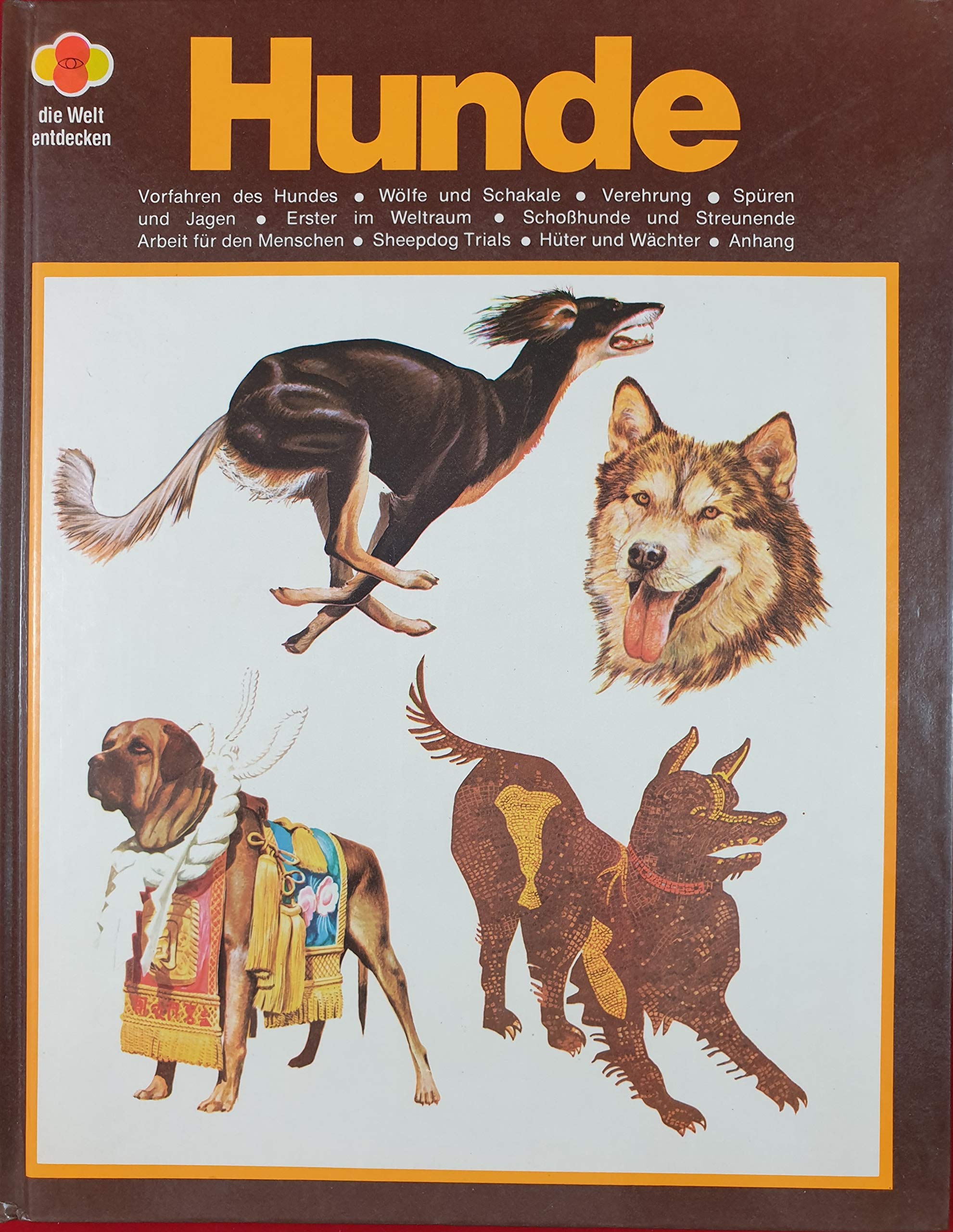 Hunde. ( Die Welt entdecken). Books