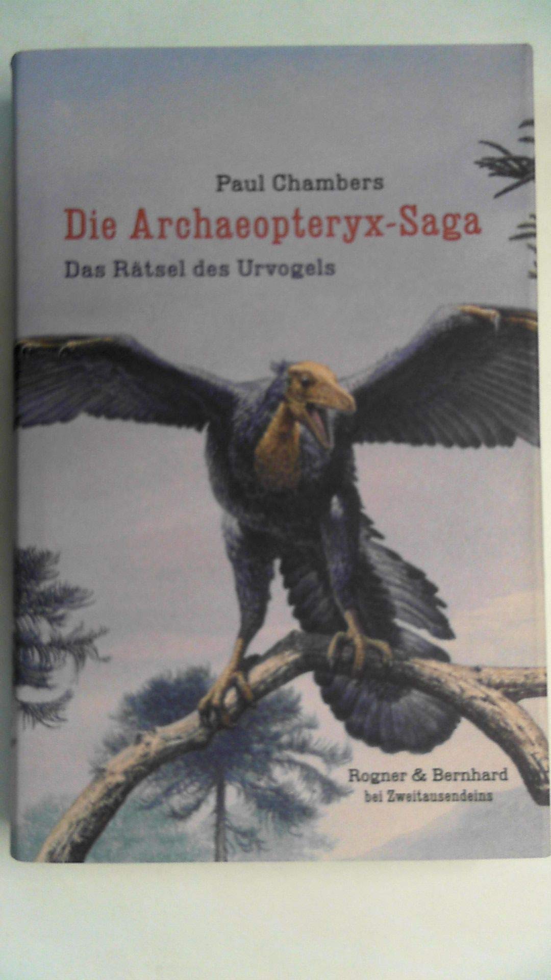 Die Archaeopteryx-Saga: Das Rätsel des Urvogels Business & Technology