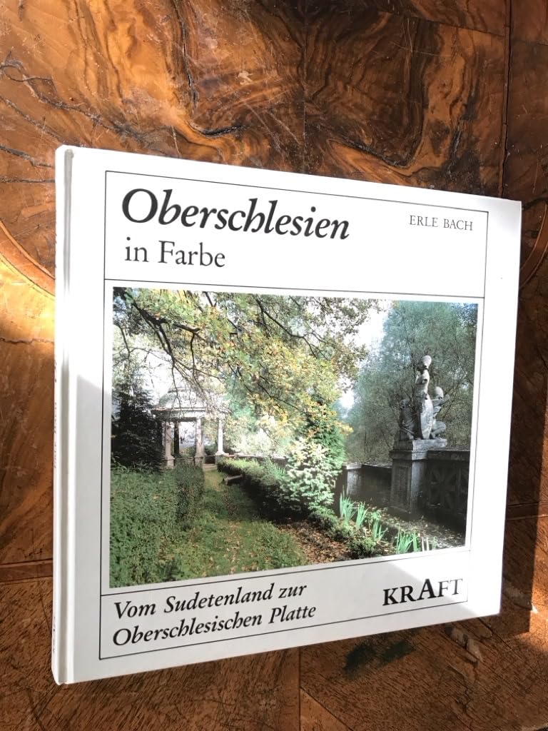 Oberschlesien in Farbe. Vom Sudetenland zur Oberschlesischen Platte Politics & History