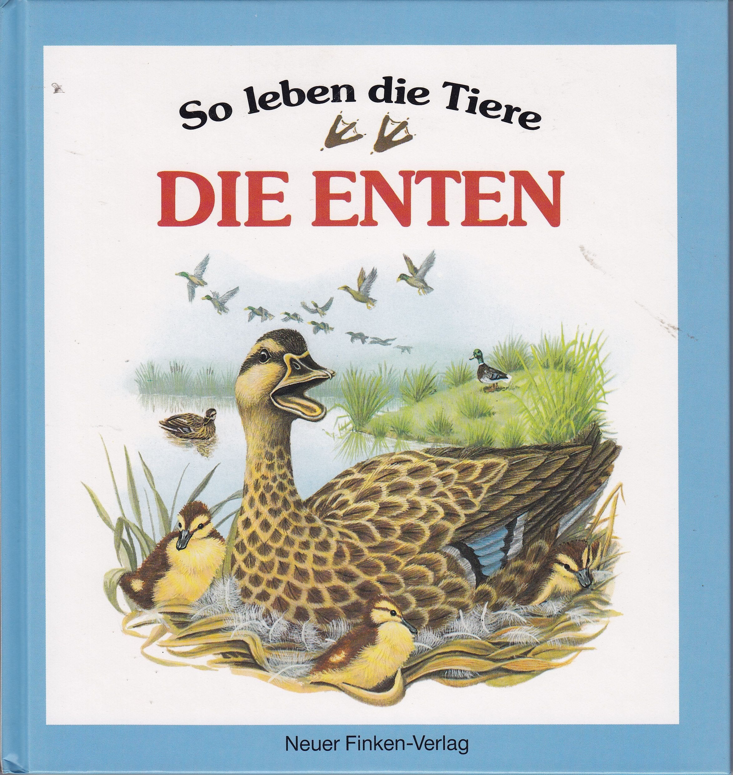 So leben die Tiere. Die Enten. Books