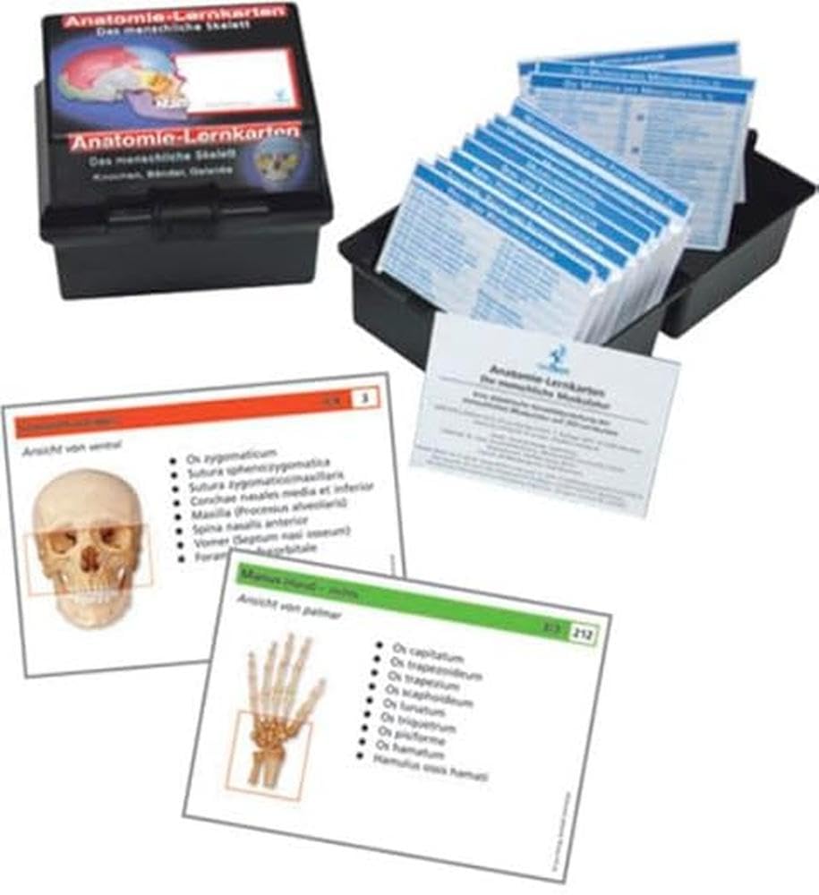 Anatomie Lernkarten menschliches Skelett: Anatomie-Lernkarten Knochen, Bänder und Gelenke Medicine