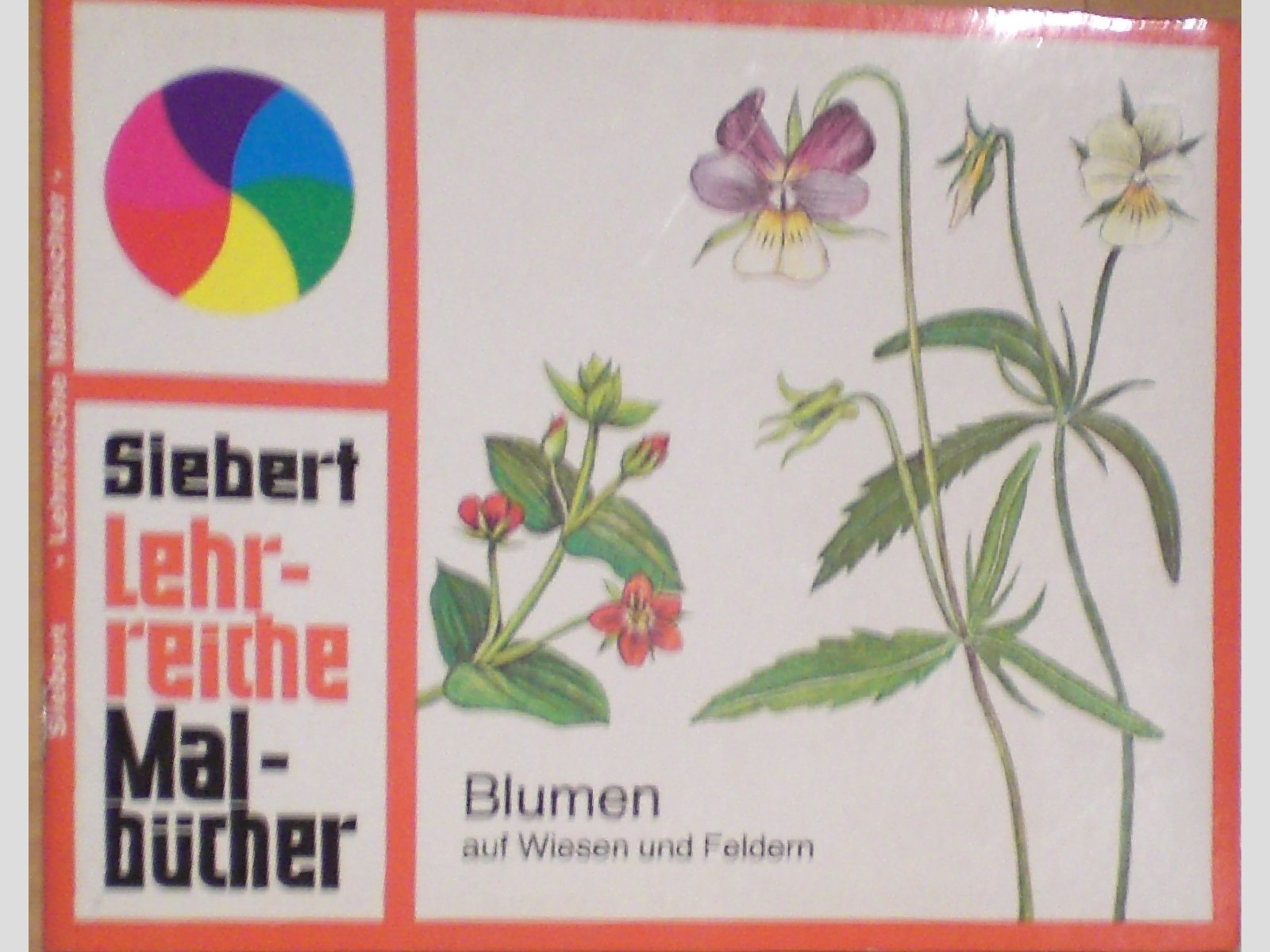 Blumen auf Wiesen und Feldern / Lehrreiche Malbücher Books