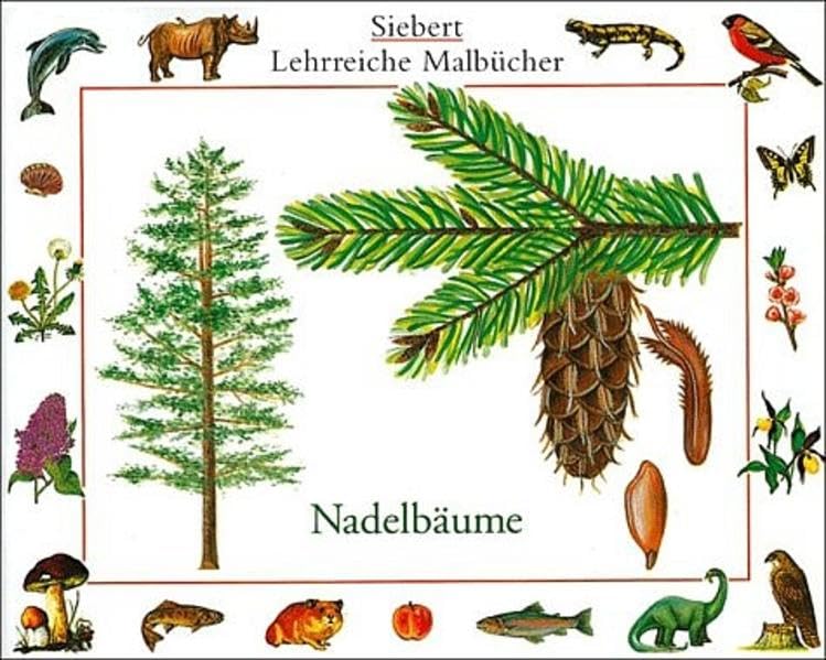 Nadelbäume: Malbuch. Verpackungseinheit (Siebert lehrreiche Malbücher) Non-fiction