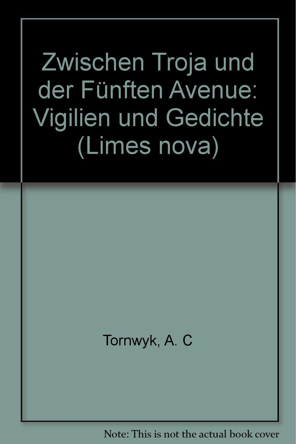 Zwischen Troja und der Fünften Avenue. Vigilien und Gedichte Books