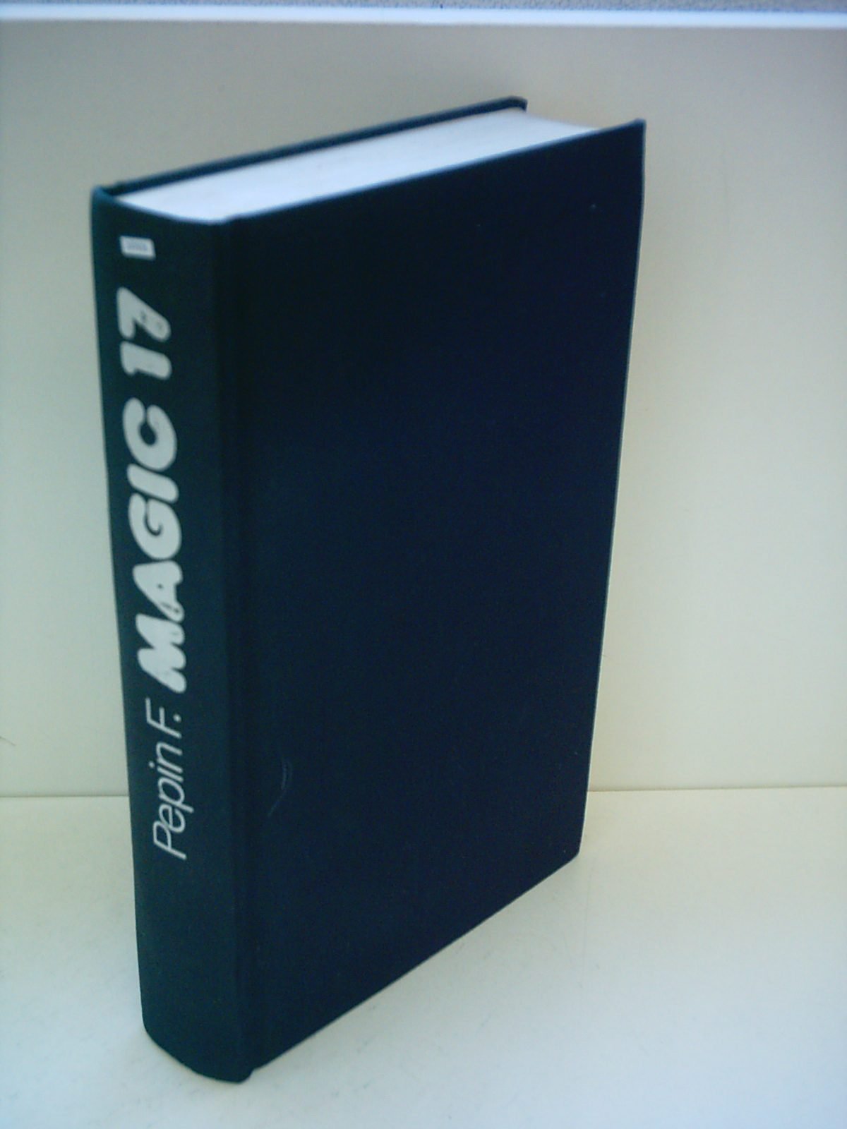 Product Image: Magic 17. Erotische Begegnungen