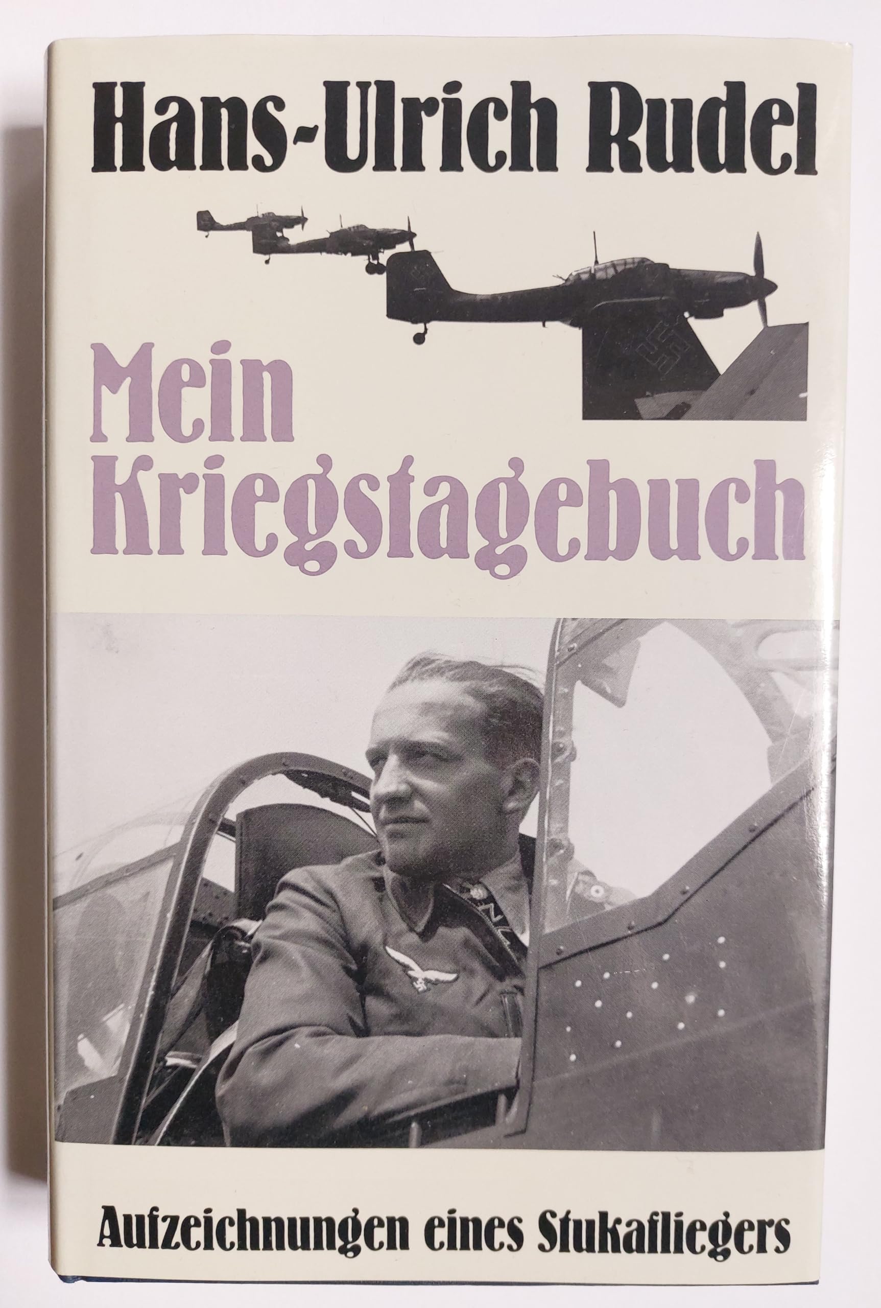 Mein Kriegstagebuch. Aufzeichnungen eines Stukafliegers Politics & History