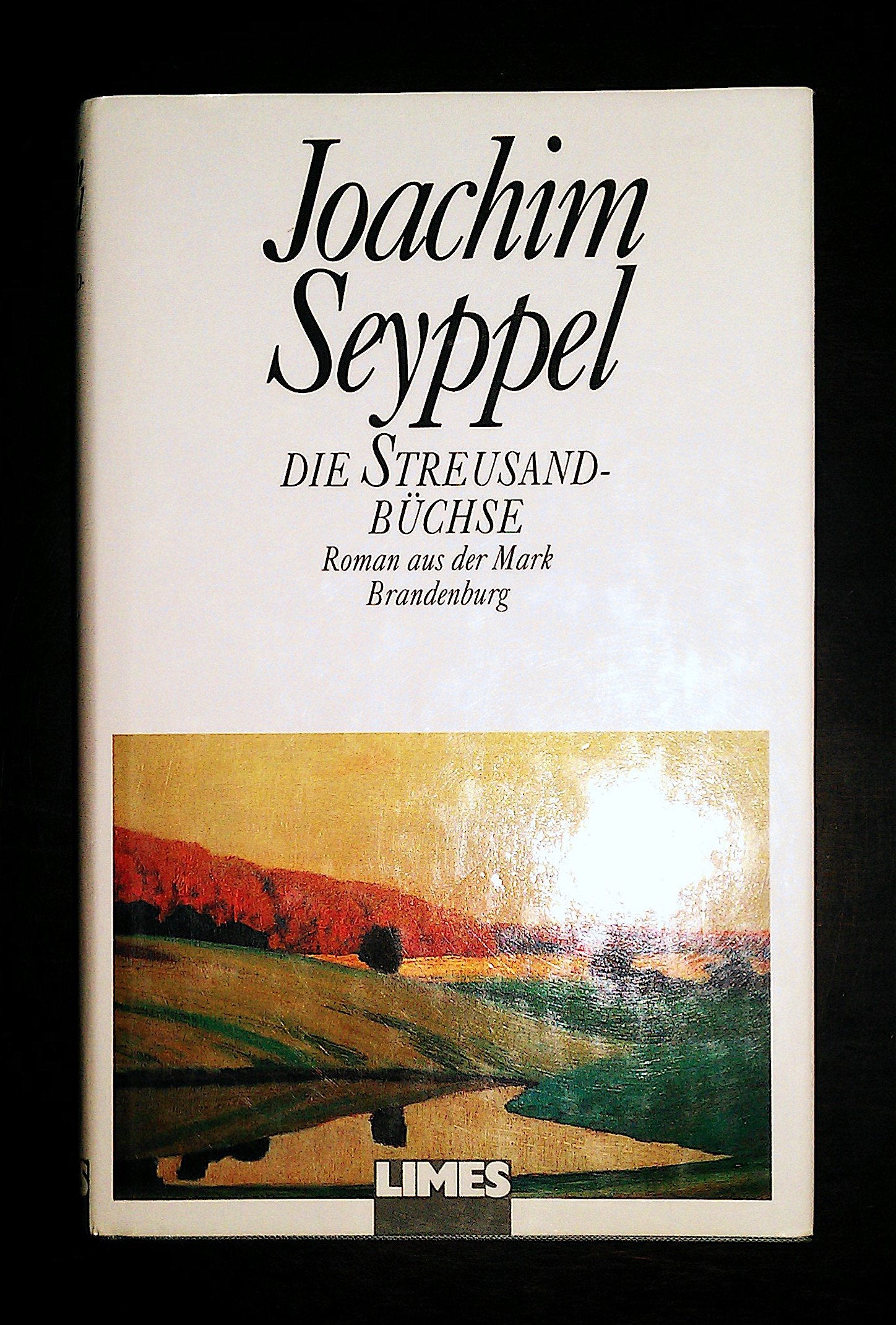 Die Streusandbüchse. Ein märkischer Roman Books
