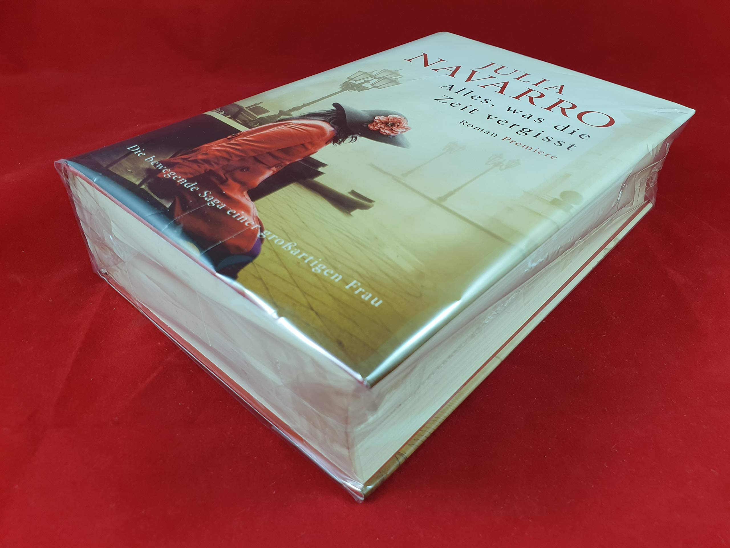 Alles, was die Zeit vergisst: Roman Contemporary literature