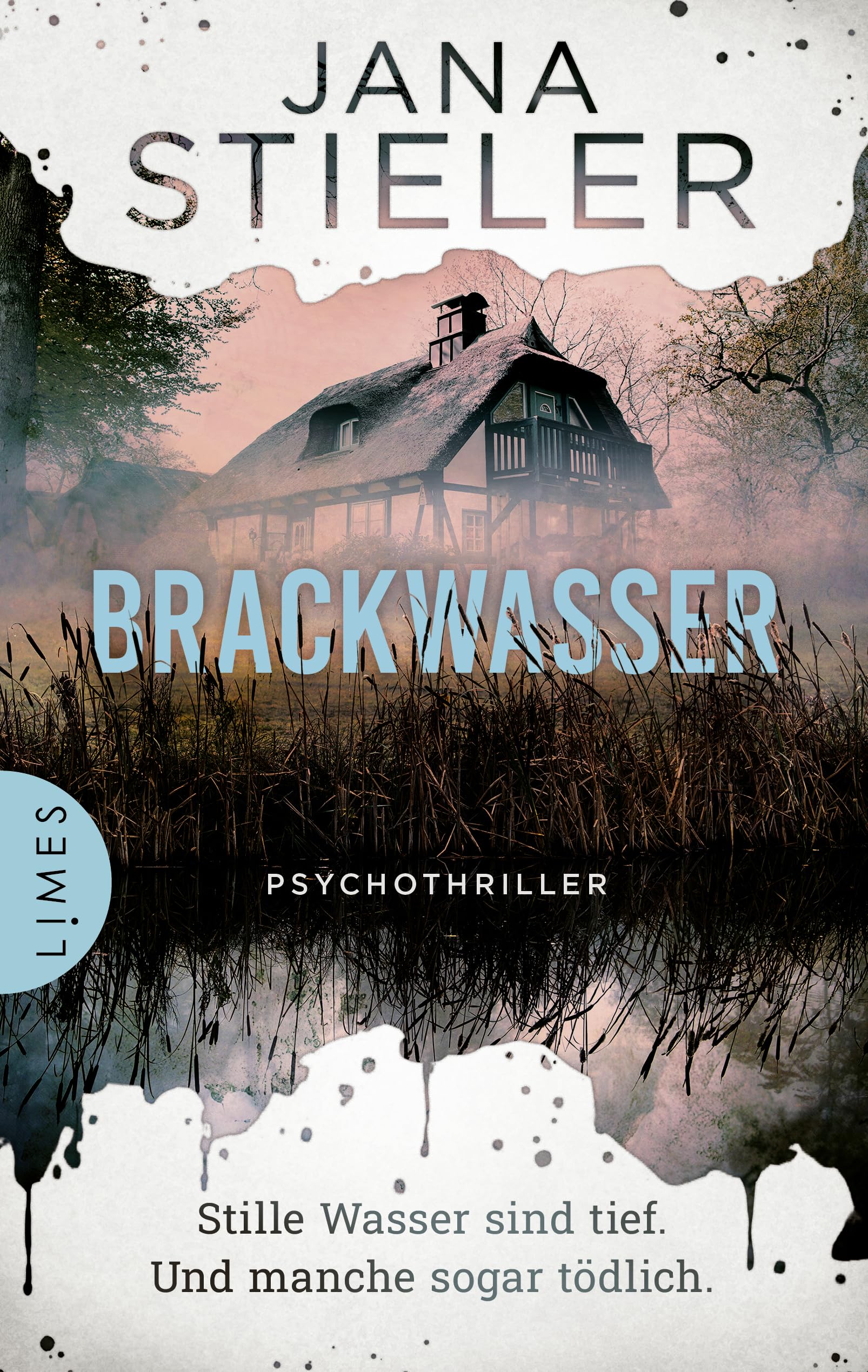 Brackwasser - Stille Wasser sind tief. Und manche sogar tödlich ... Contemporary literature