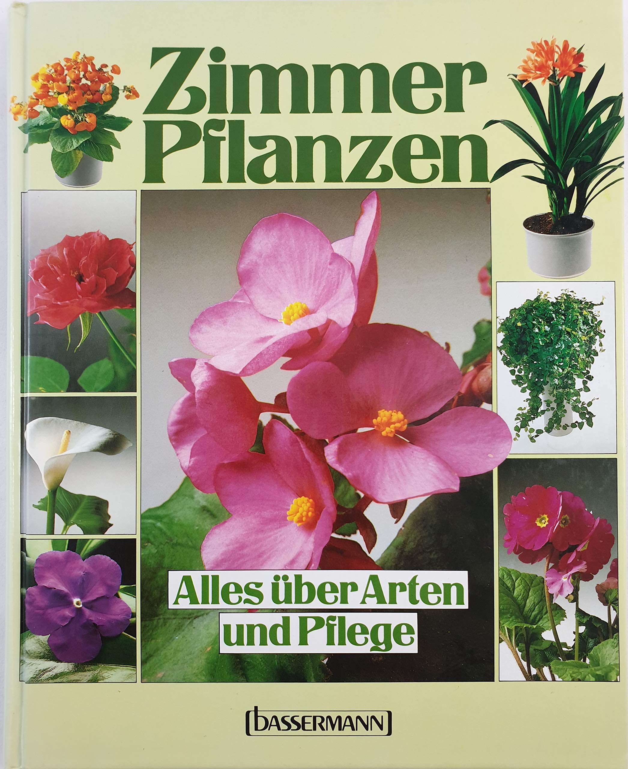 Zimmer Pflanzen: Alles über Arten und Pflege book