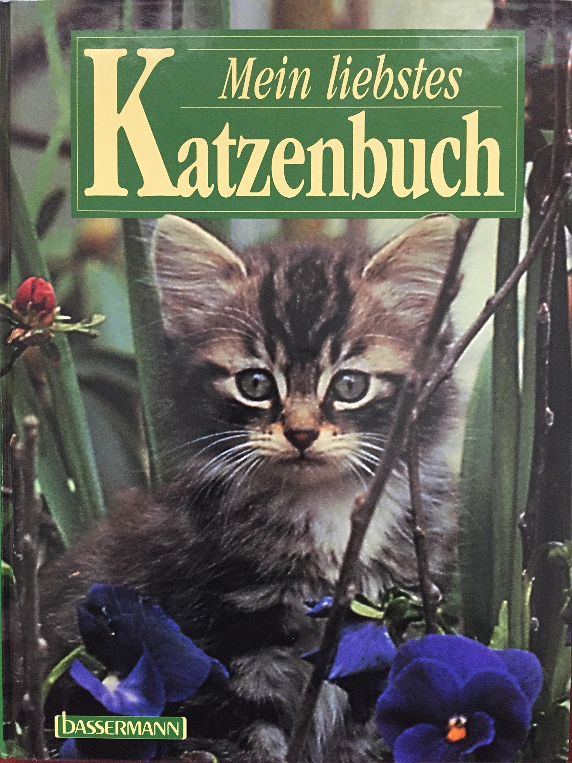 Mein liebstes Katzenbuch Film, Art & Culture