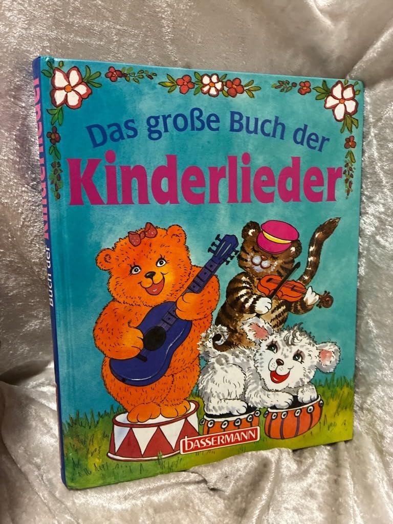 Das große Buch der Kinderlieder Books