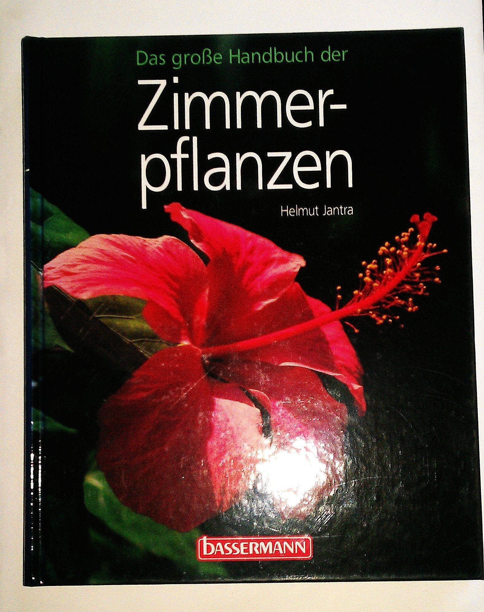 Product Image: Das große Handbuch der Zimmerpflanzen