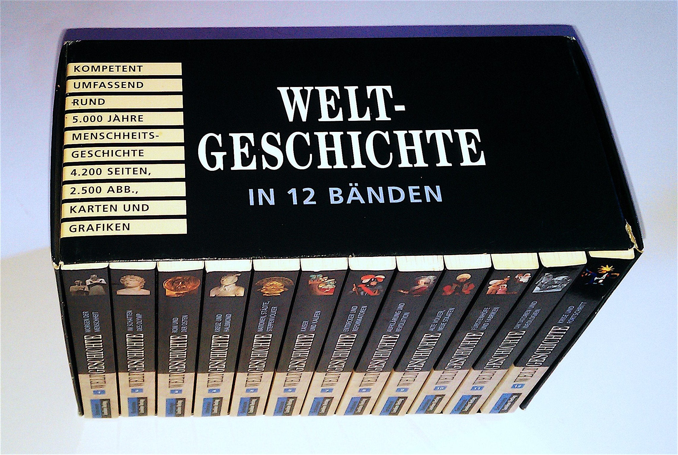 Weltgeschichte in 12 Bänden Reference Books