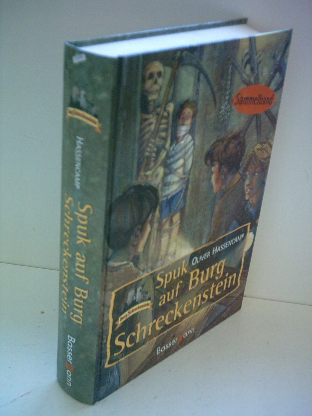 Spuk auf Burg Schreckenstein Contemporary literature