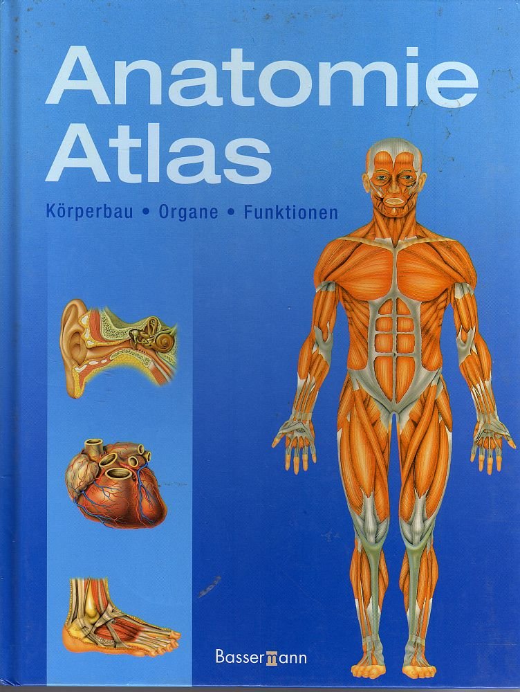 Anatomie-Atlas: Körperbau . Organe . Funktionen Medicine
