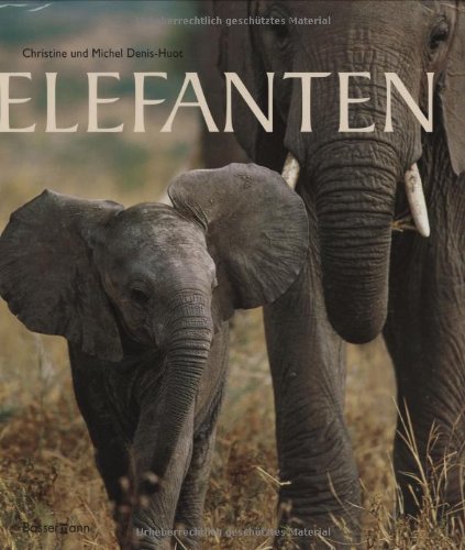 Elefanten Photography