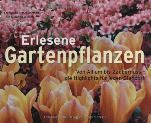 Erlesene Gartenpflanzen: Von Allium bis Zaubernuss - die Highlights für jeden Standort Garden & Plants
