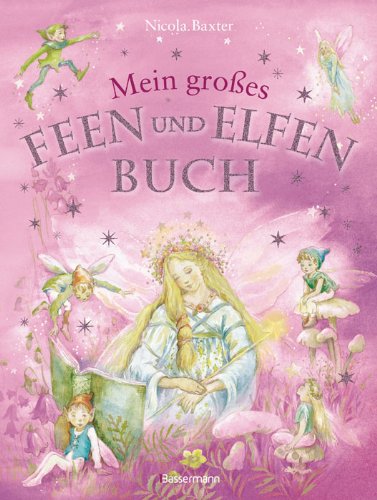 Mein großes Feen- und Elfenbuch Children's books