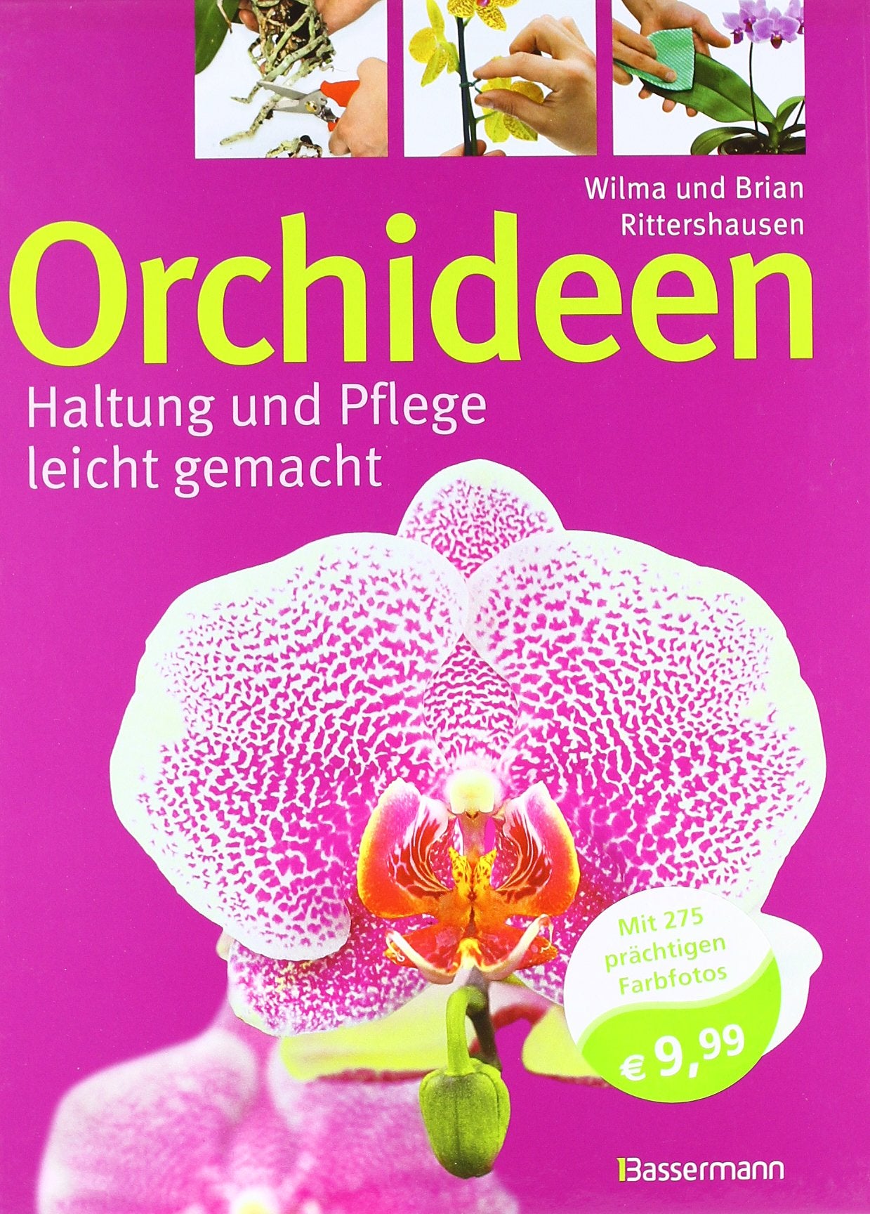 Orchideen: Haltung und Pflege leicht gemacht Garden & Plants