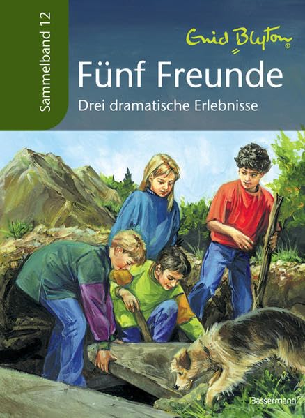 Fünf Freunde Sammelband 12. Drei dramatische Erlebnisse Novels & Short Stories
