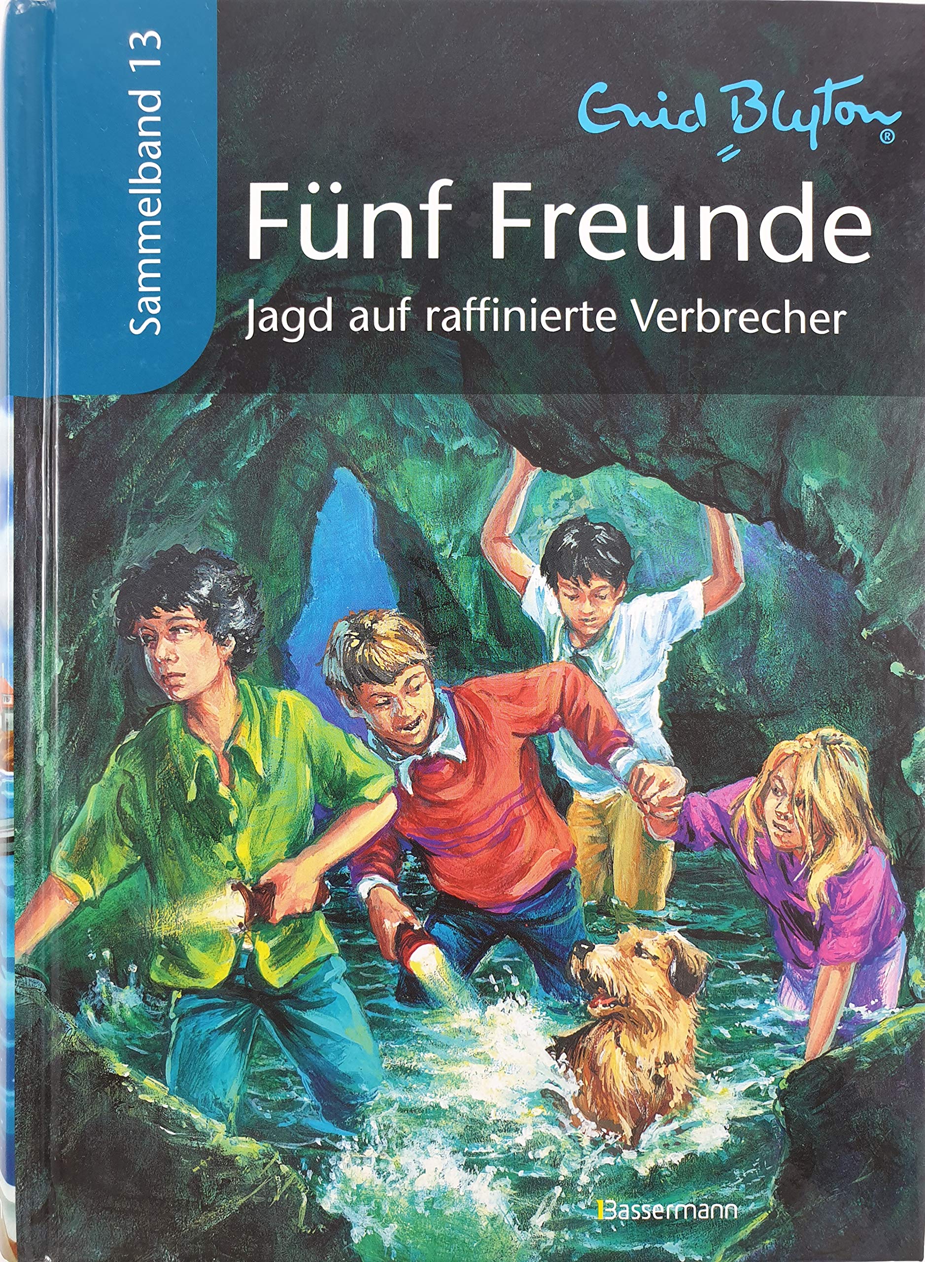 Fünf Freunde Sammelband 13. Jagd auf raffinierte Verbrecher Novels & Short Stories