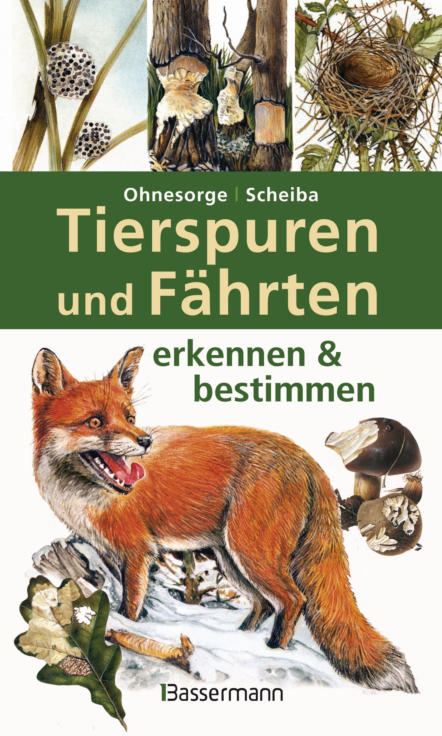Tierspuren und Fährten erkennen & bestimmen Pets