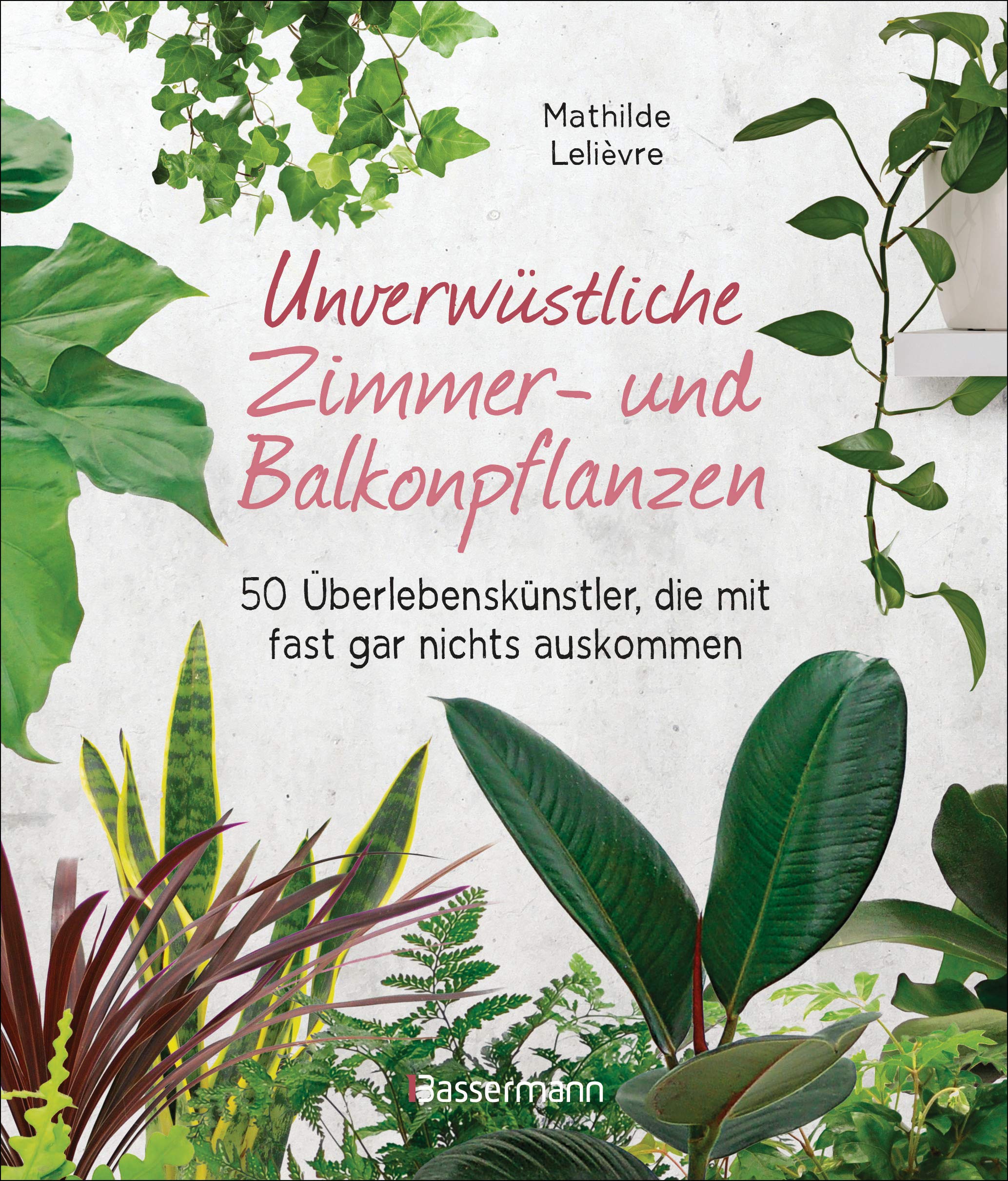 Unverwüstliche Zimmer- und Balkonpflanzen Garden & Plants