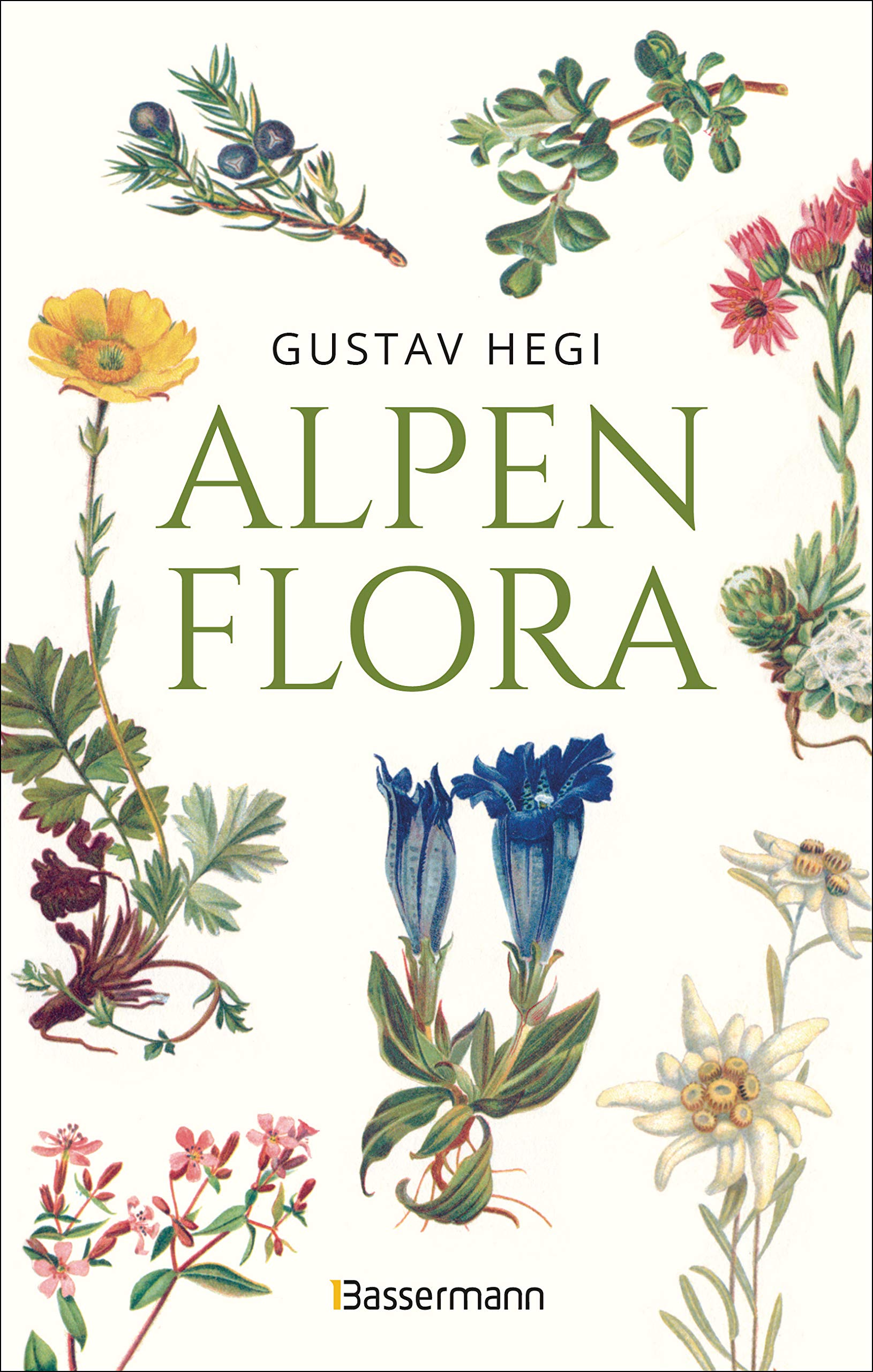 Alpenflora - der erste umfassende Naturführer der alpinen Pflanzenwelt. Über 260 detaillierte, handgezeichnete Illustrationen und genaue Beschreibungen Garden & Plants